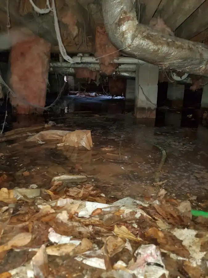 Crawl space flood assessment for Leak Detection & Repair in Chestnut Ridge